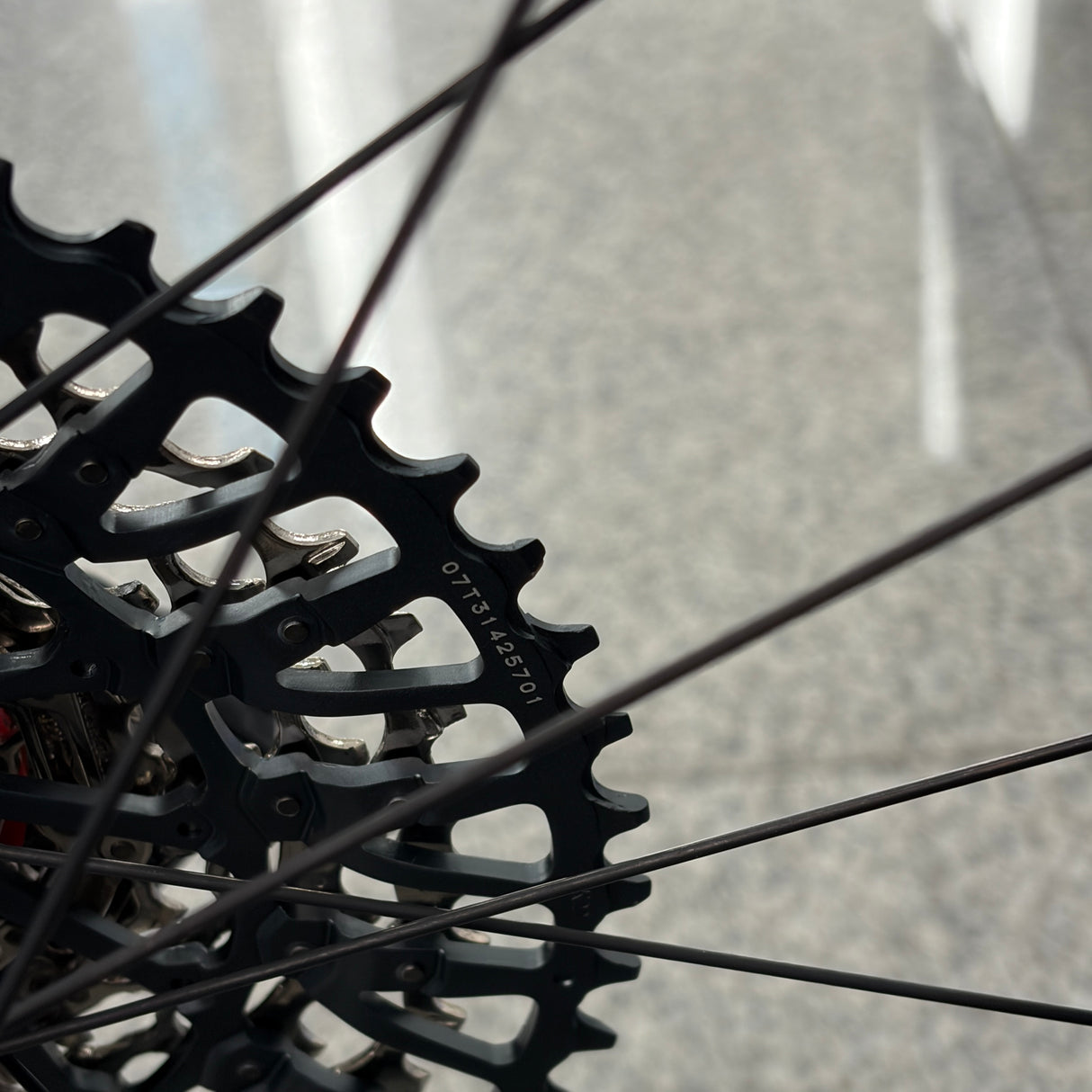 Specialized Epic World Cup Expert Carbon Mountain Bike