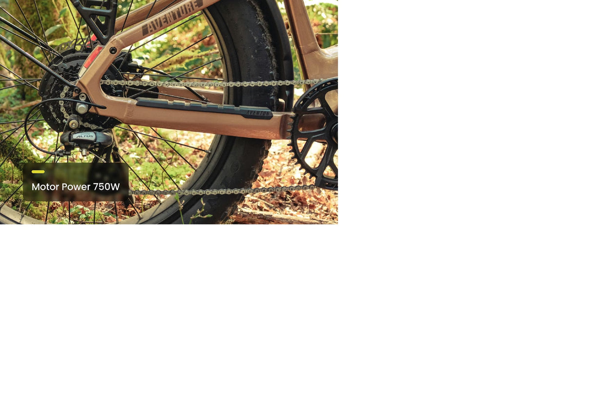 Aventon Aventure 3 Step Through All Terrain E-Bike