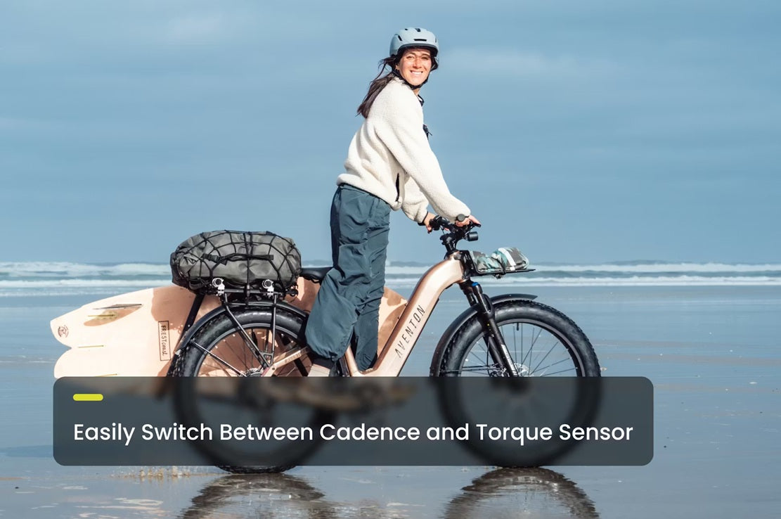 Aventon Aventure 3 Step Through All Terrain E-Bike