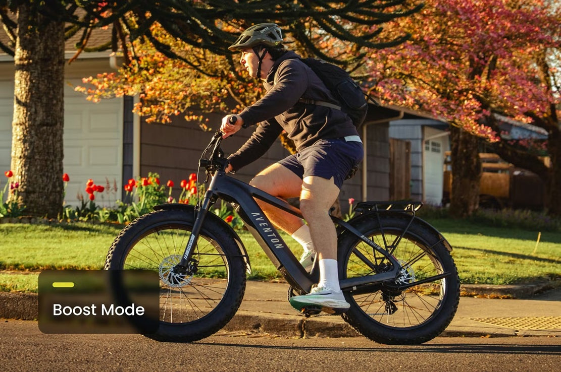 Aventon Aventure 3 Step Through All Terrain E-Bike