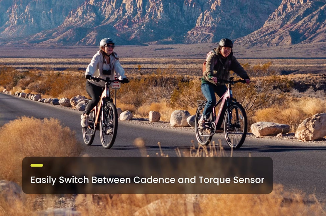 Aventon Level 3 Front Suspension Step Through E-Bike