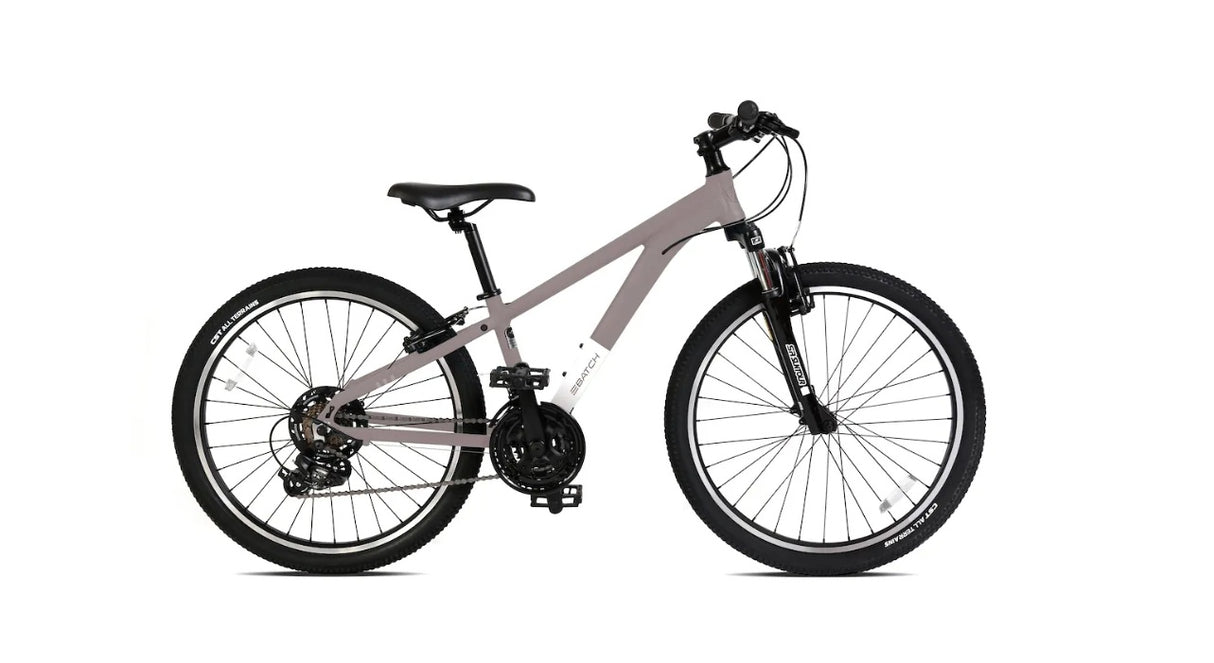 Batch Youth 24 Mountain Bicycle