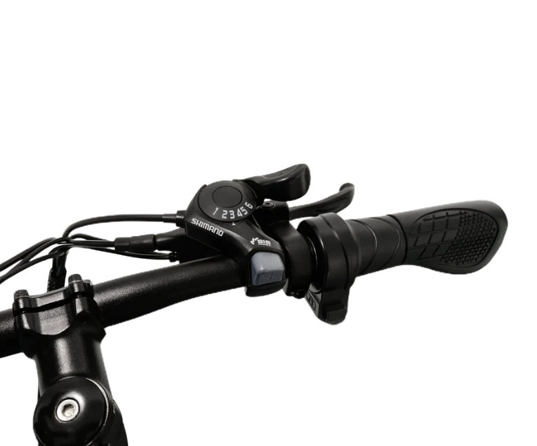 Blaupunkt Henri 20" Folding E-bike