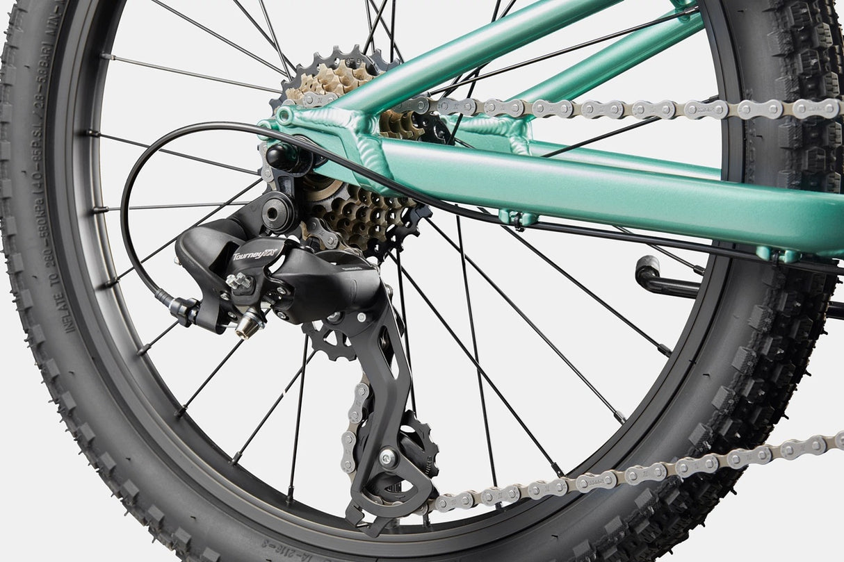 Cannondale Kid's Trail 20 Mountain Bike (Recommended for height 3'10" and 4'3")