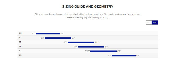 Giant Revolt 2 Shimano Sora 9 Speed Aluminum Gravel Bike