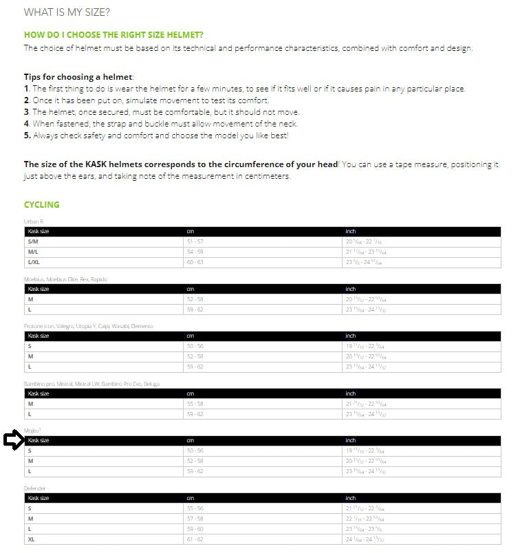 Kask Mojito 3 Road Bicycle Helmet