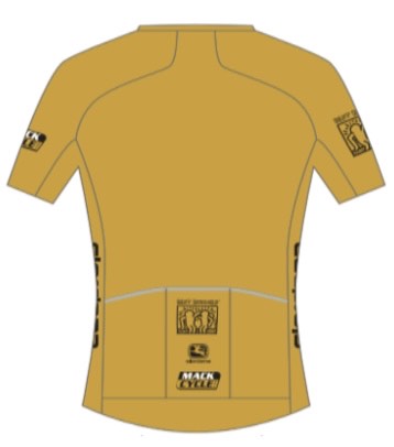 "The Gold Standard" -  Men's Giordana Vero Forma Lyte Low Collar Cycling Jersey