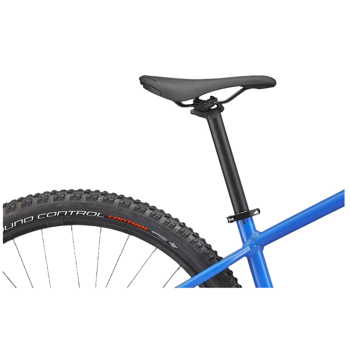 Specialized Rockhopper Expert 12 Speed Aluminum Hardtail Mountain Bicycle