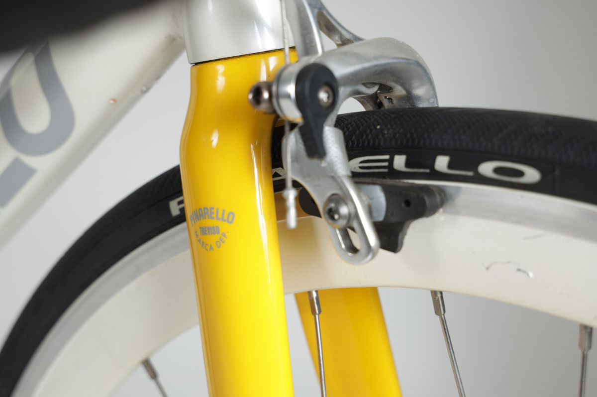 2015 Pinarello LUNGAVITA Single Speed Bicycle - 795-GLORY - PRE-OWNED