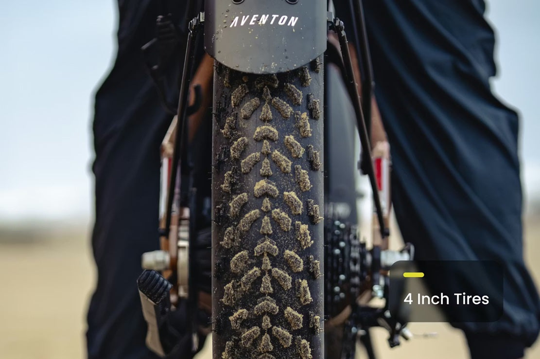 Aventon Aventure 3 Step Through All Terrain E-Bike