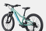 Cannondale Kid's Trail 20 Mountain Bike (Recommended for height 3'10" and 4'3")