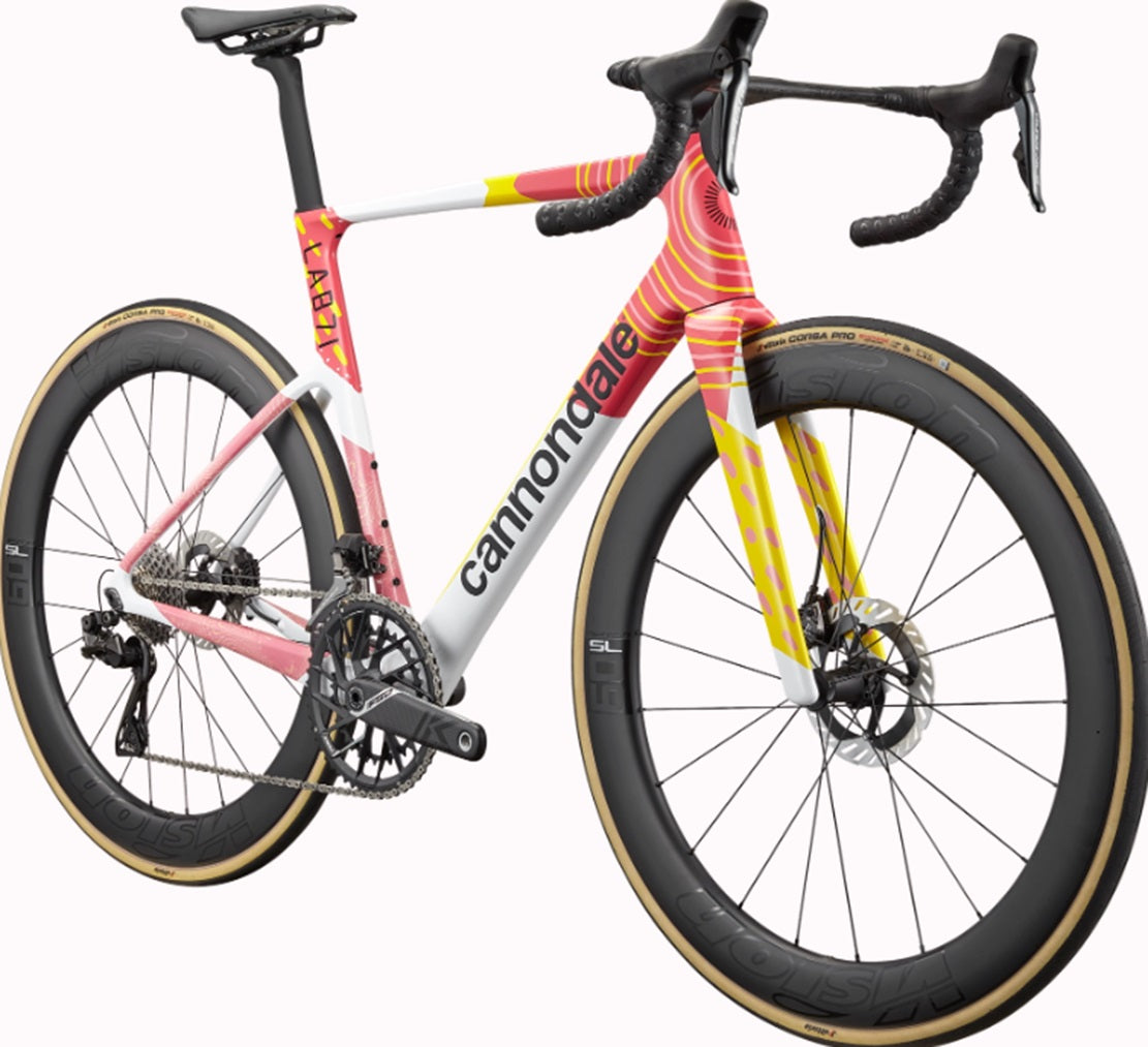 Cannondale SuperSix Evo Lab71 Team EF Replica Disc Road Bicycle