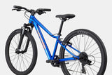 Cannondale Trail 24 Eight Speed Kid's Mountain Bike (Recommended for height 4'1" - 4'6")