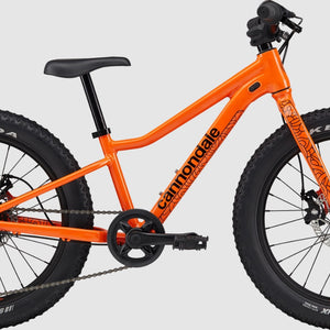20" BIKES | AGES 5-8 