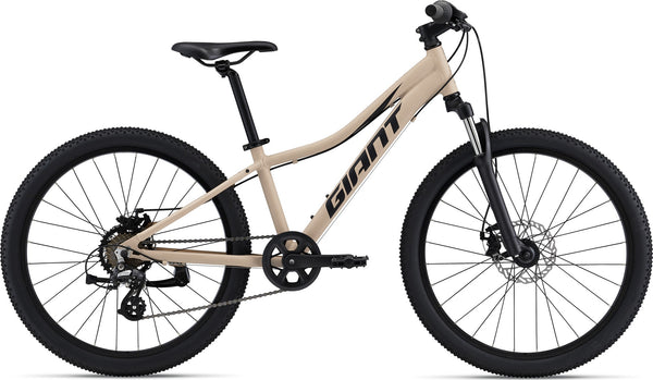 Bicicleta giant aro shops 24