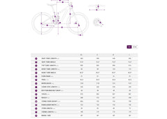 Liv Women's Pique 29 2 Full Suspension Mountain Bike