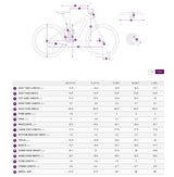 Liv Women's Tempt 4 8 Speed Hardtail Mountain Bike