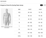 Pinarello Q36.5 Gregarius Clima Pro Cycling Team Jersey