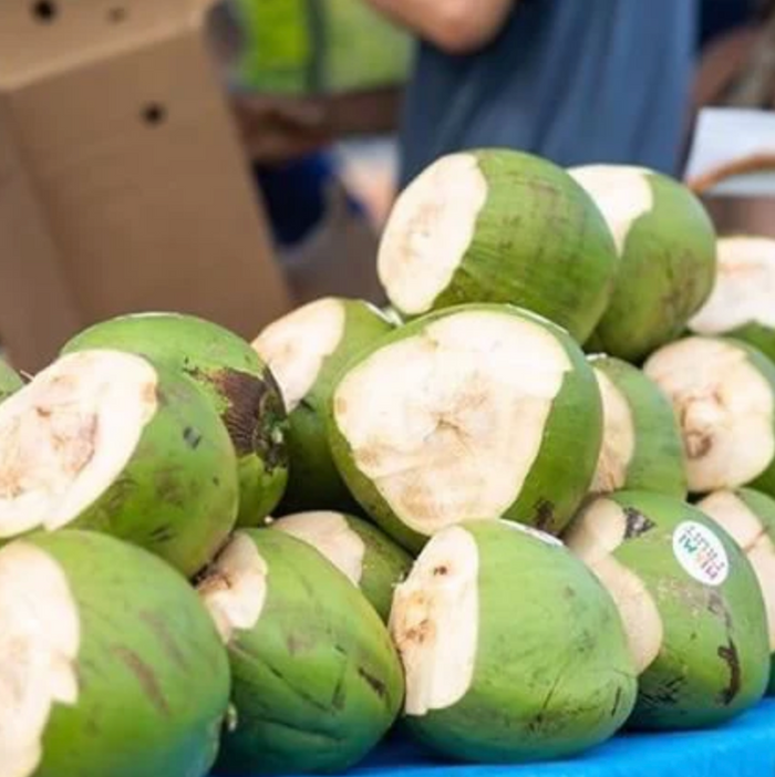 Pile of green water coconuts from Miami Fruit. Cut open, on a blue surface.
