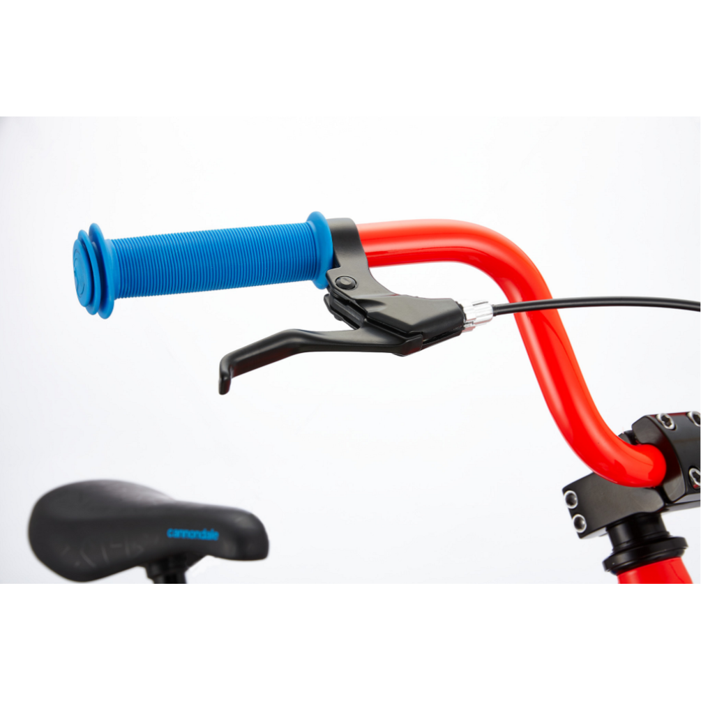 Cannondale trail top 20 boy's