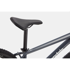 Cannondale Trail 6 Slate Gray M