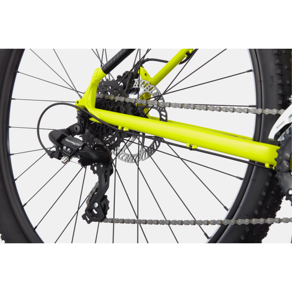 Cannondale trail 8 deals amazon