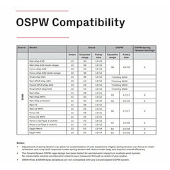 CeramicSpeed OSPW X for SRAM Eagle AXS