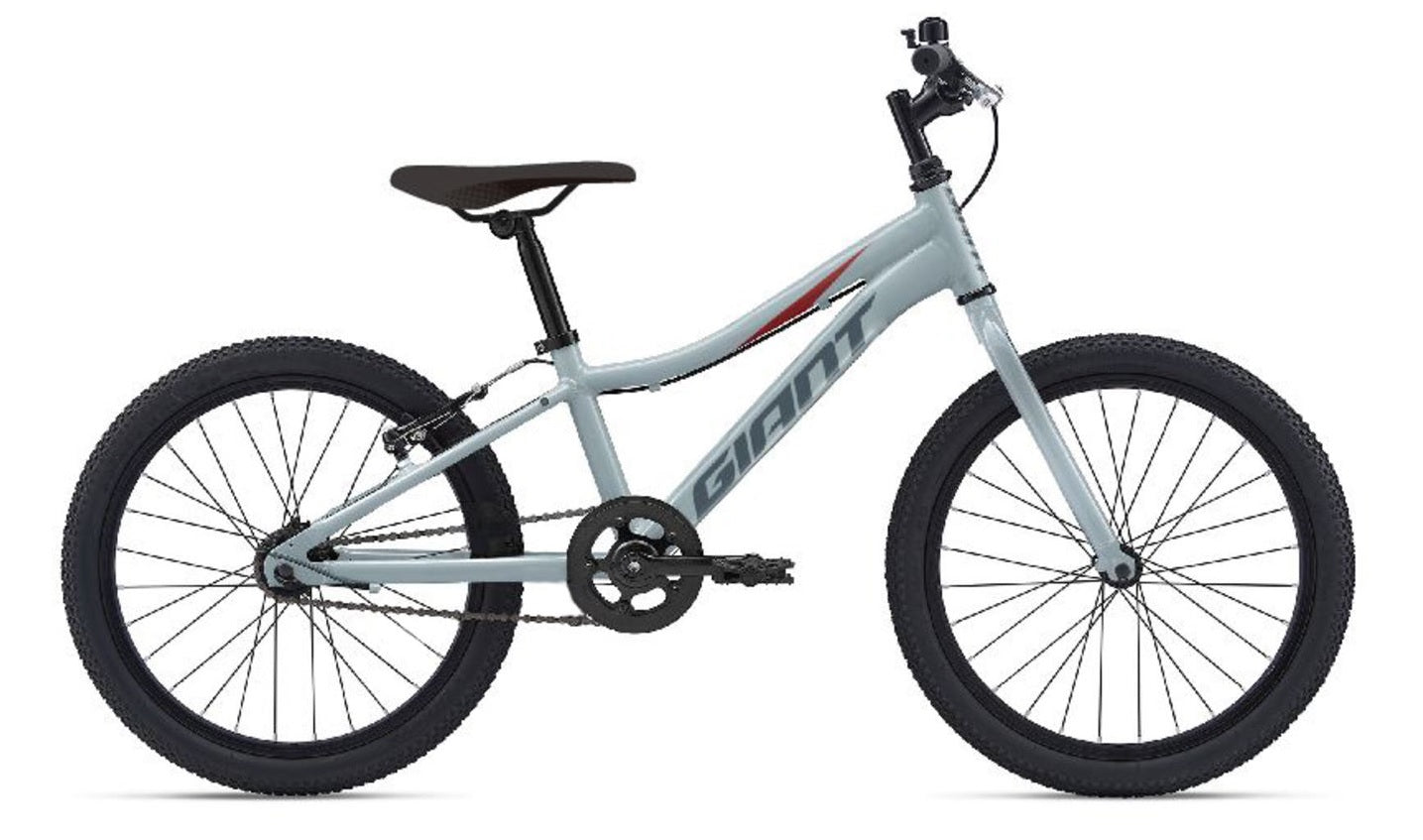 20 bike best sale with coaster brakes